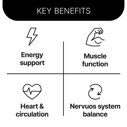 MAGNESIUM MALATE + vitamin B6